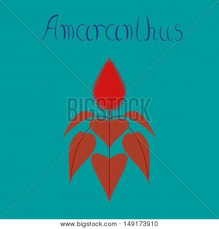 flat illustration on stylish background herb amaranthus