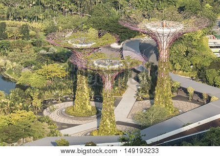 SINGAPORE - JUNE 25 2015 : Super trees Grove at Gardens by the Bay.