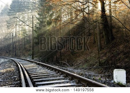 Tracks during a misty morning in winter