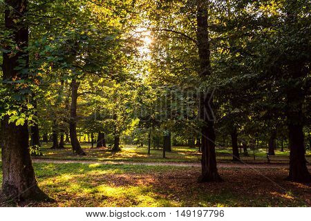 A beautiful day in the park at the beginning of autumn. Trees lake and sunset autumn.