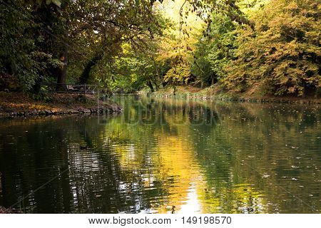 A beautiful day in the park at the beginning of autumn. Trees lake and sunset autumn.