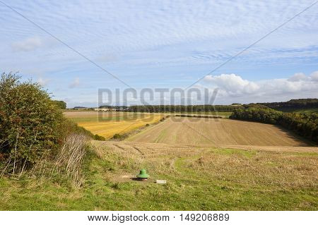 Hillside Agriculture