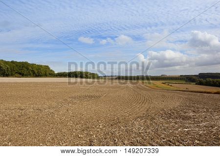 Yorkshire Wolds Agriculture