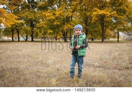 Little Boy In Autumn Land Scape