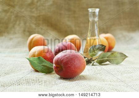 Fresh and tasty apricot fruit and apricot brandy on a table cloth. Selective focus with shallow depth of field.