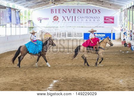 GUADALAJARA MEXICO - SEP 01 : Charras participate at the 23rd International Mariachi & Charros festival in Guadalajara Mexico on September 01 2016.