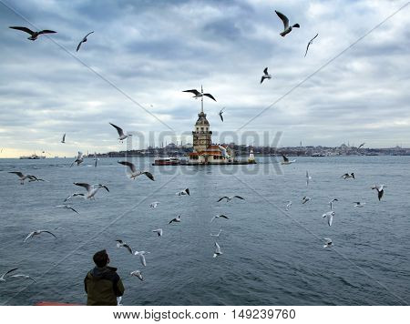 Istanbul, Turkey - December 04, 2013: Maiden's Tower and seen people feeding seagulls. European part of Istanbul in the background against the shore. Left Blue Mosque medium Hagia Sophia Topkapi palace dome seem right.