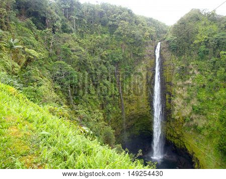 Waterfall in the woods, Big Island, Hawaii