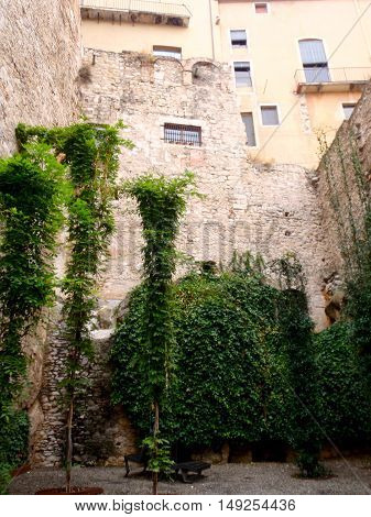 Greenery reclaiming buildings, Girona, Costa Brava, Spain
