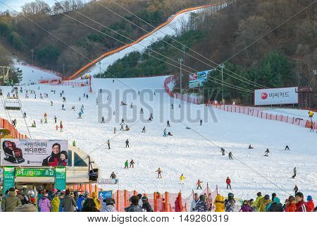 Vivaldi Park Ski Resort  In Korea.