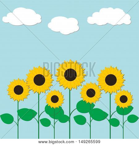 Colorful illustration with sunflowers and clouds. Vector illustration