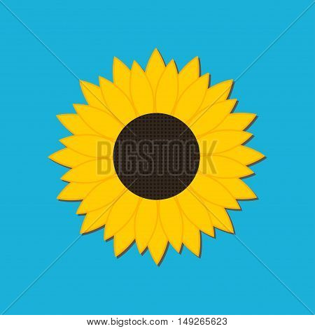 Sunflower icon on blue background. Vector illustration