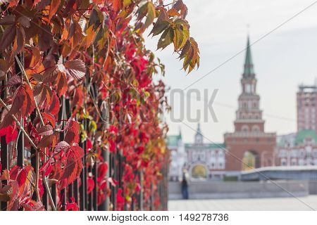 background cityscape view of the bridge tower in the city of Yoshkar-Ola in autumn