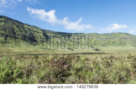 April 5 2016 Savana, Bromo Tengger East Java National Park.