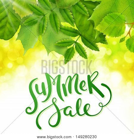 Summer sale background with green leaves, vector illustration