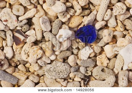 Coral & tenger üveg