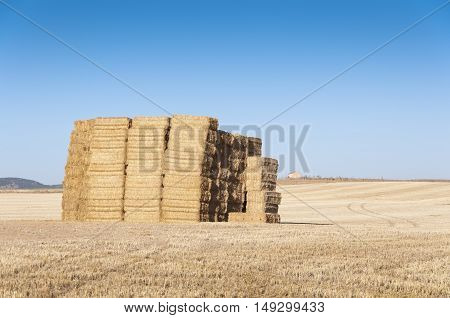 Bales of hay in an agrarian landscape in Ciudad Real Province Spain