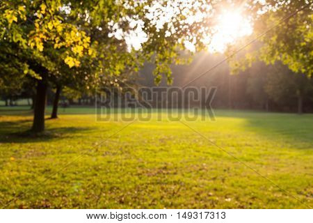 Blurred image of a beautiful day in the park at the beginning of autumn. Trees lake and sunset autumn.