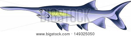 funny paddlefish. Editable vector illustration isolated on white background