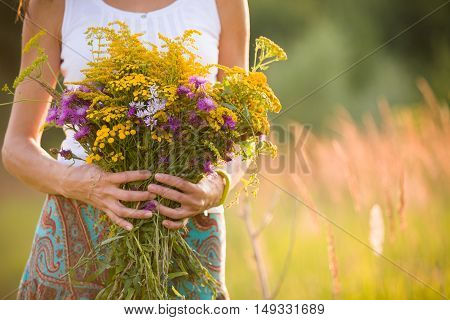 Closeup of woman's hands holding beautiful bunch of wild flowers on a sunny summer day. Girl with bouquet of yellow and purple flowers on a meadow.