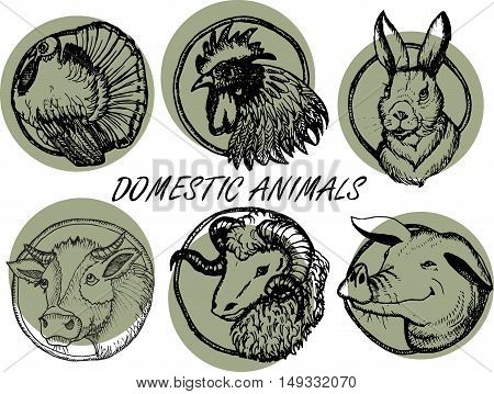 Vector vintage hand drawn set of domestic animals. Engraved illustration. Rural natural farming. Ecological farm. Organic products. Great for label or poster.