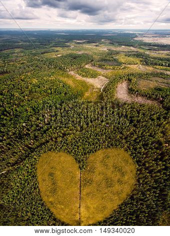 Concept of love to nature. Take care and enjoy the forest. Beautiful picture of lush green coniferous forest and swamp in the form of heart. Aerial view. From above. Picture taken using the copter.