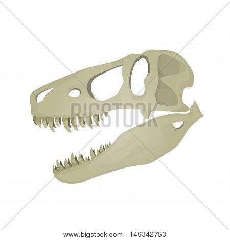 Vector illustration of Tyrannosaurus Rex skull on white background.