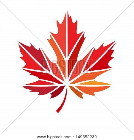 vector stylize logo with red maple leaf
