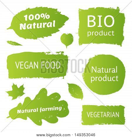 Natural organic bio product vegan food natural farming vegeterian labels shapes. Vector collection of paint brush strokes isolated on white background. Hand drawn abstract design elements set.