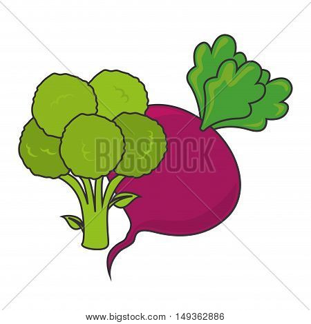 green broccoli and betroot. vegetable healthy food. vector illustration