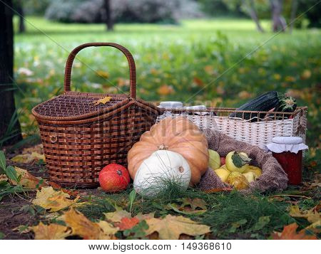 The autumn harvest from the garden on a glade with autumn leaves. Shopping pumpkins and squash jam in a jar wicker basket