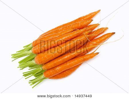 fresh carrots