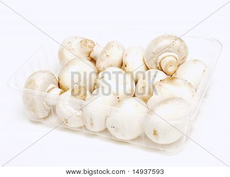 plastic box with champignons