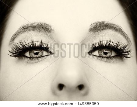 A beautiful insightful look vintage woman's eyes