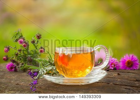 Green Tea In Beautiful Cup