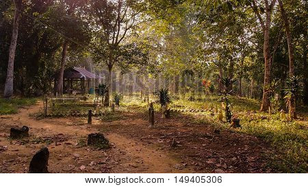The cemetery lit by morning foggy sunshine.