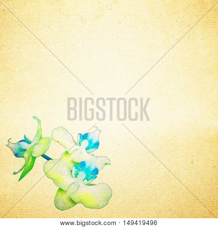 Textured Old Paper Background With Flower