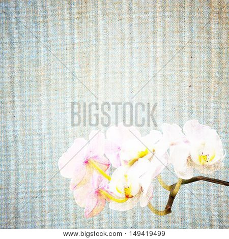 Textured Old Paper Background With Flower