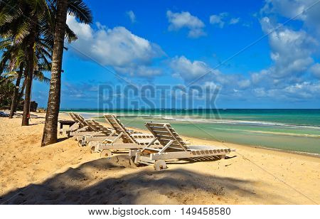 Picturesque Coast Diani