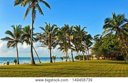 Picturesque Coast Diani