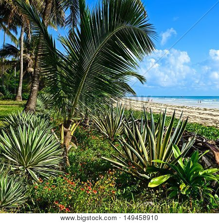 Picturesque Coast Diani