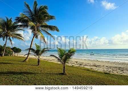 Picturesque Coast Diani
