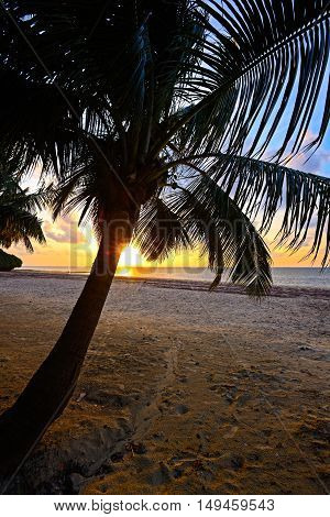 Evening Coast Diani