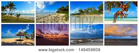 Collage Coast Diani