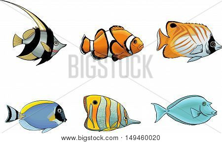 Group tropical sea fish characters colored vector
