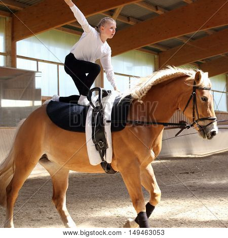 young girl is vaulting on a brown horse indoors