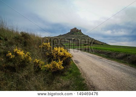 Medieval Castle In Gormas And Yelloow Flowers, Soria, Castilla Y Leon, Spain
