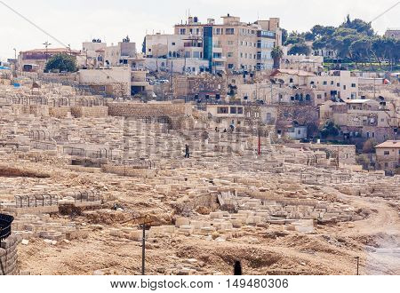 Ancient Cemetery At Olives Mountain, Jerusalem