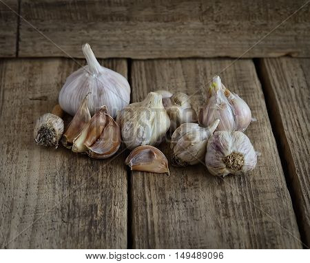fragrant garlic on a dark wooden background