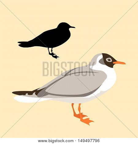 Bird seagull vector illustration black silhouette style Flat